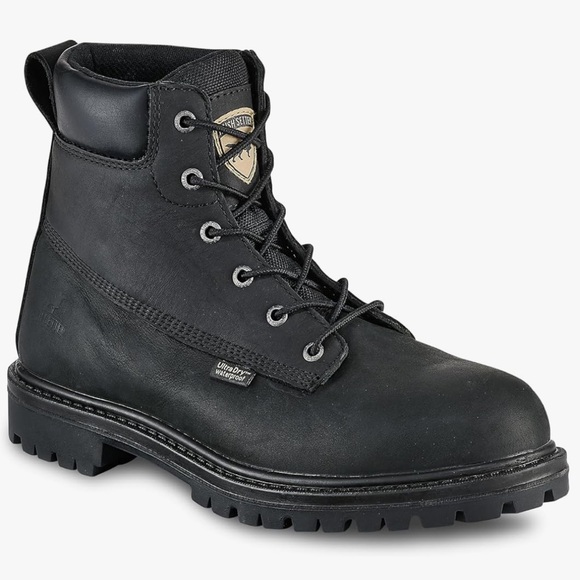 Irish Setter Hopkins 6\